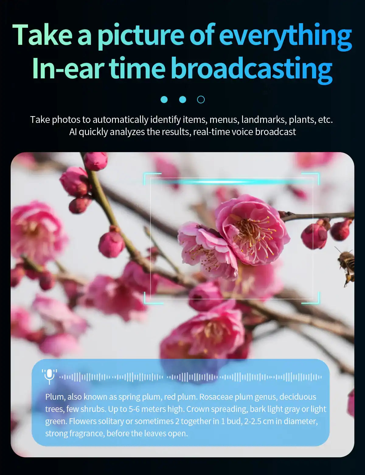 Advertisement for in-ear time broadcasting technology with a focus on flowers. TUTT AI Smart Glasses Sunglasses, 8MP Camera, ChatGPT, Translation Dual Lenses Replaceable with Prescription