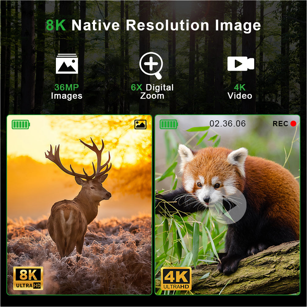 Night vision binoculars displaying high resolution 8K and 4K images of a stag in sunset and a red panda on a tree branch, portable digital scope TUTT