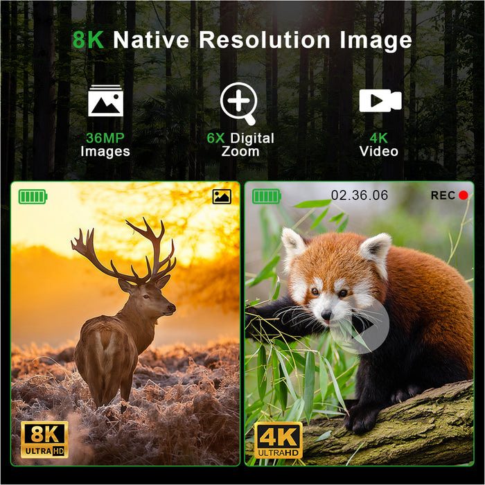 Night vision binoculars displaying high resolution 8K and 4K images of a stag in sunset and a red panda on a tree branch, portable digital scope TUTT