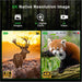 Night vision binoculars displaying high resolution 8K and 4K images of a stag in sunset and a red panda on a tree branch, portable digital scope TUTT